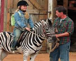 She was bucked off by a zebra while filming for “Racing Stripes.” She got a concussion and two compressed vertebrae in her neck due to the incident.